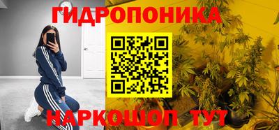 ПСИЛОЦИБИНОВЫЕ ГРИБЫ Аргун