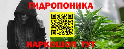 ПСИЛОЦИБИНОВЫЕ ГРИБЫ Аргун