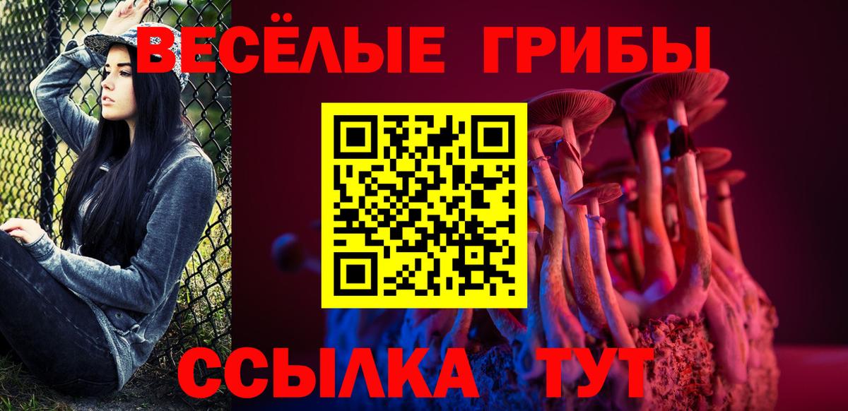 Галлюциногенные грибы GOLDEN TEACHER  Галлюциногенные грибы ЛСД  Владимир  Вход с VPN 